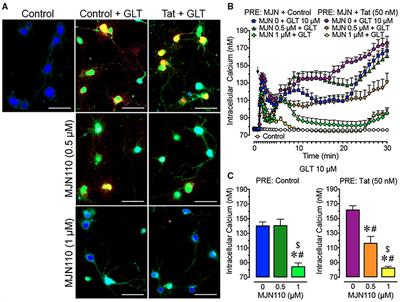 Monoacylglycerol Lipase Inhibitor MJN110 Reduces Neuronal Hyperexcitability, Restores Dendritic Arborization Complexity, and Regulates Reward-Related Behavior in Presence of HIV-1 Tat